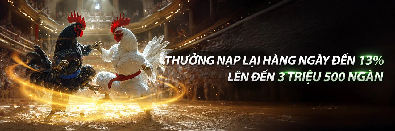 Đá gà c4 hôm nay trực tiếp tại daga88